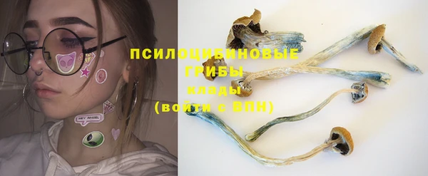 меф Заводоуковск