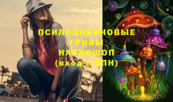 твердый Елабуга
