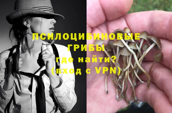 меф Заводоуковск