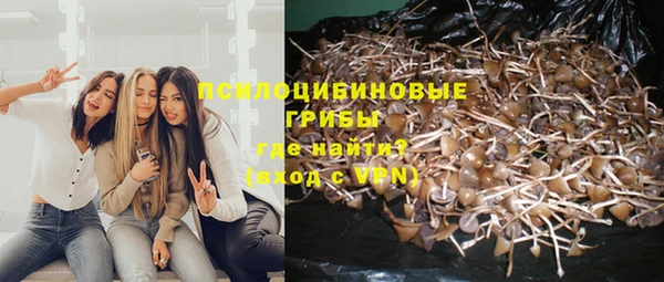 кокс Щигры