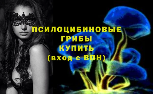 apvp Заволжск