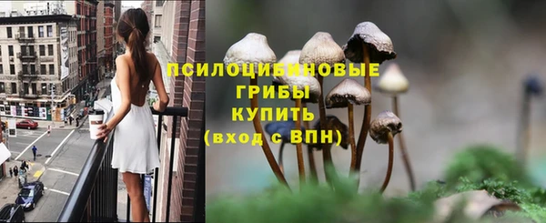 apvp Заволжск